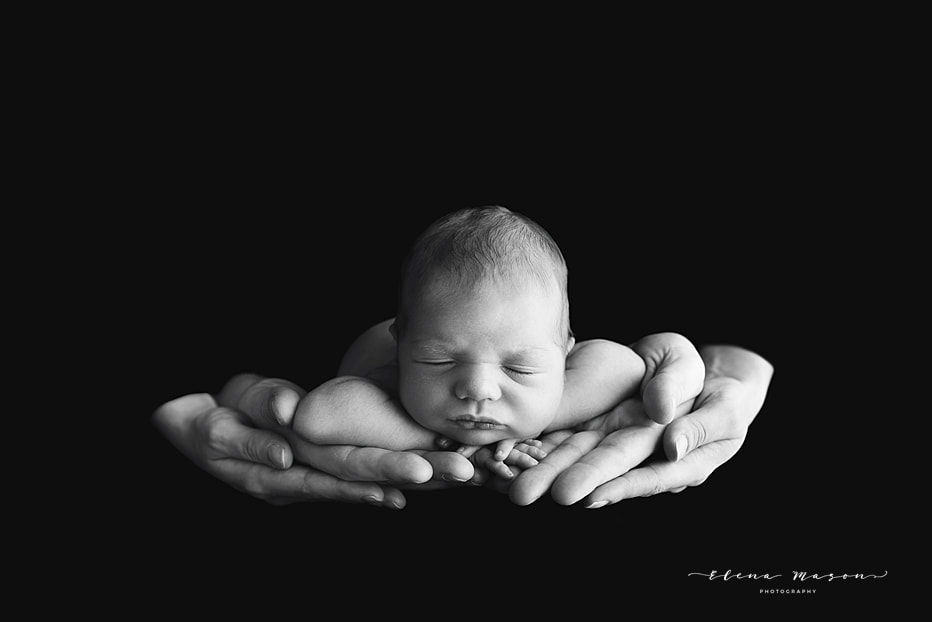 newborn photo session Belfast, elena mason photography